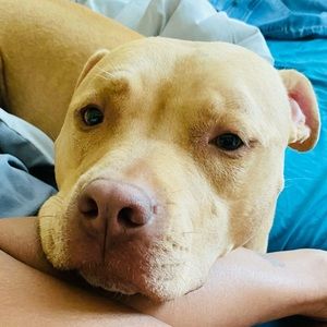 Meet your Posher, Mabel